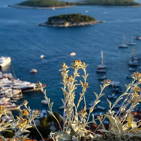 Feelhvar Along Bluelagoon