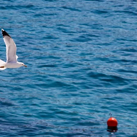 Apartamento Feelhvar Along Bluelagoon